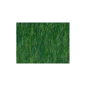 Groene Tapijttegels Huren Etten-Leur - Arto Laros Events