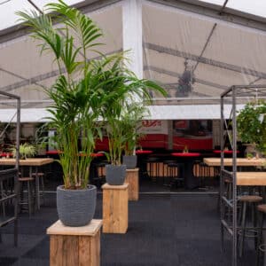 Planten Huren Bedrijfsfeest - Arto Laros Events